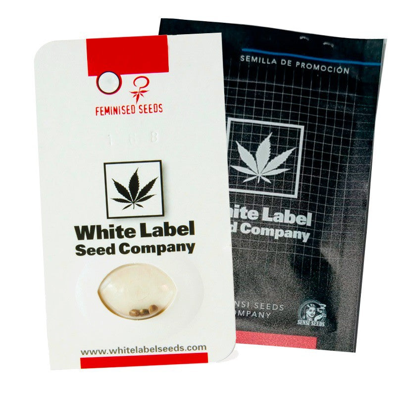 WHITE LABEL O.G KUSH AUTO 3+1UDS