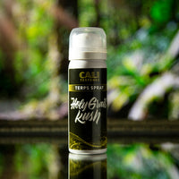 TERPS SPRAY AROMA HOLY GRAIL KUSH 5ML (DS)