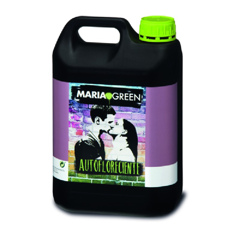 AUTOFLOW 5L MARIA GREEN