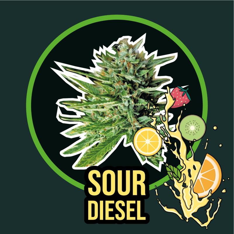 DELIRIUM SEEDS SOUR DIESEL FAST 4UDS