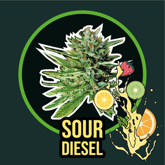 DELIRIUM SEEDS SOUR DIESEL FAST 4UDS