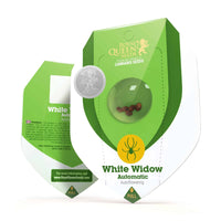 WHITE WIDOW AUTO X3-ROYAL QUEEN (DS)