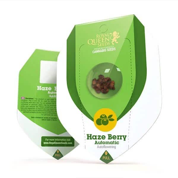 HAZE BERRY AUTO X3-ROYAL QUEEN (DS)