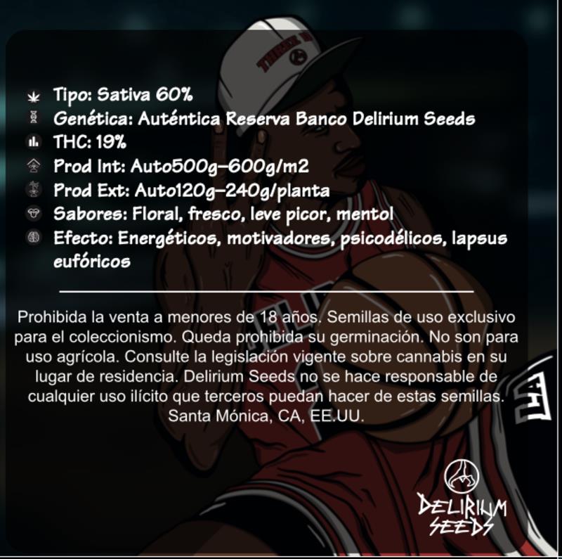 DELIRIUM SEEDS MICHAEL D 3XL AUTO 4UDS