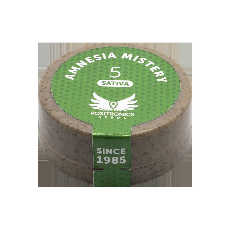 POSITRONICS AMNESIA MISTERY 5UDS