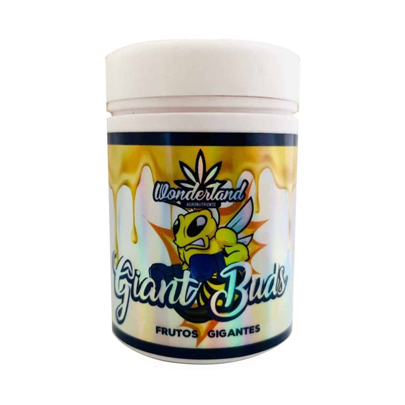 GIANT BUDS ENGORDE PK52-34 120GR-WONDERLAND (DS)