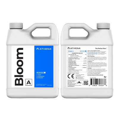 ATHENA BLOOM A 32OZ
