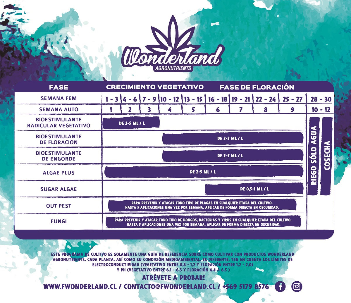 Bi-pack - Wonderland Vegetativo + Flora