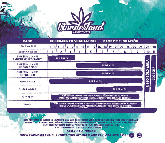 Bi-pack - Wonderland Vegetativo + Flora