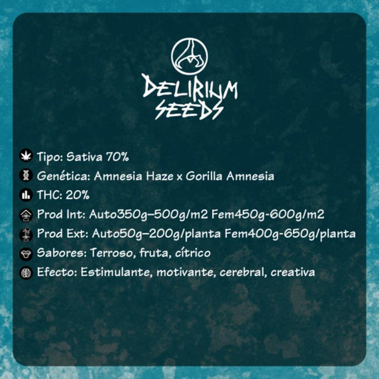 DELIRIUM SEEDS CALIFORNIA AMNESIA 1UD