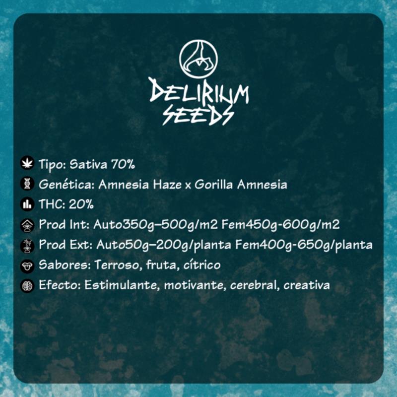 DELIRIUM SEEDS CALIFORNIA AMNESIA 1UD