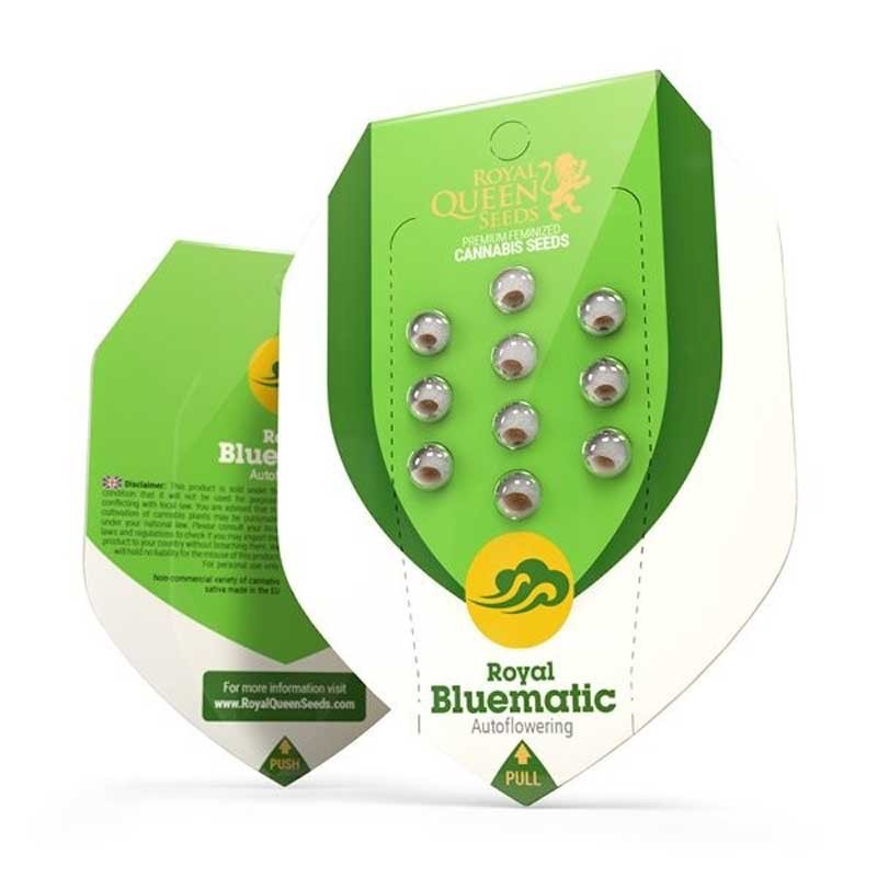 ROYAL QUEEN SEEDS ROYAL BLUEMATIC AUTO 1UD