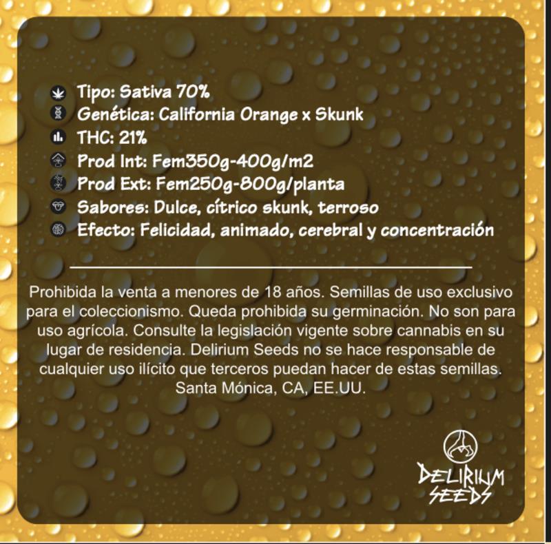 DELIRIUM SEEDS DELIRIUM TANGI 4UDS