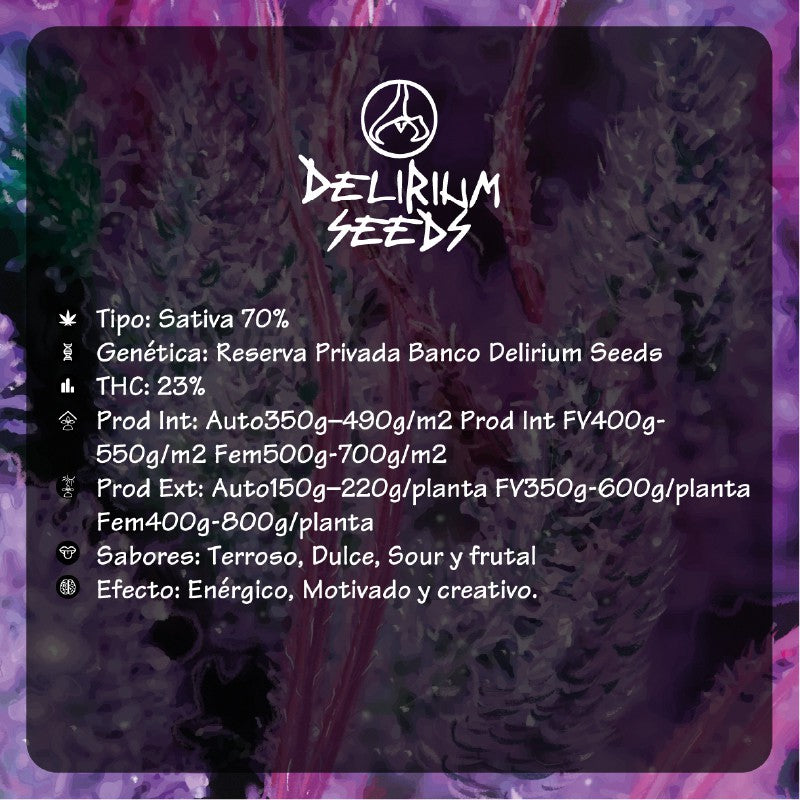 DELIRIUM SEEDS PUNTO MORADO 4 FV