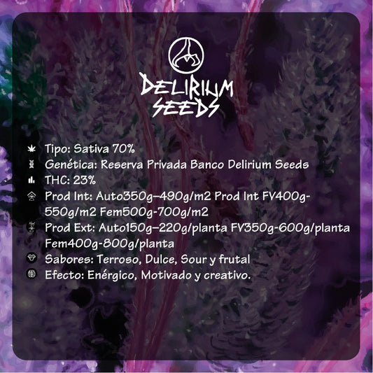 DELIRIUM SEEDS PUNTO MORADO 1 FV