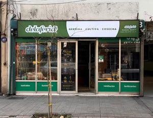 Fachada de Delaferia Manuel Montt