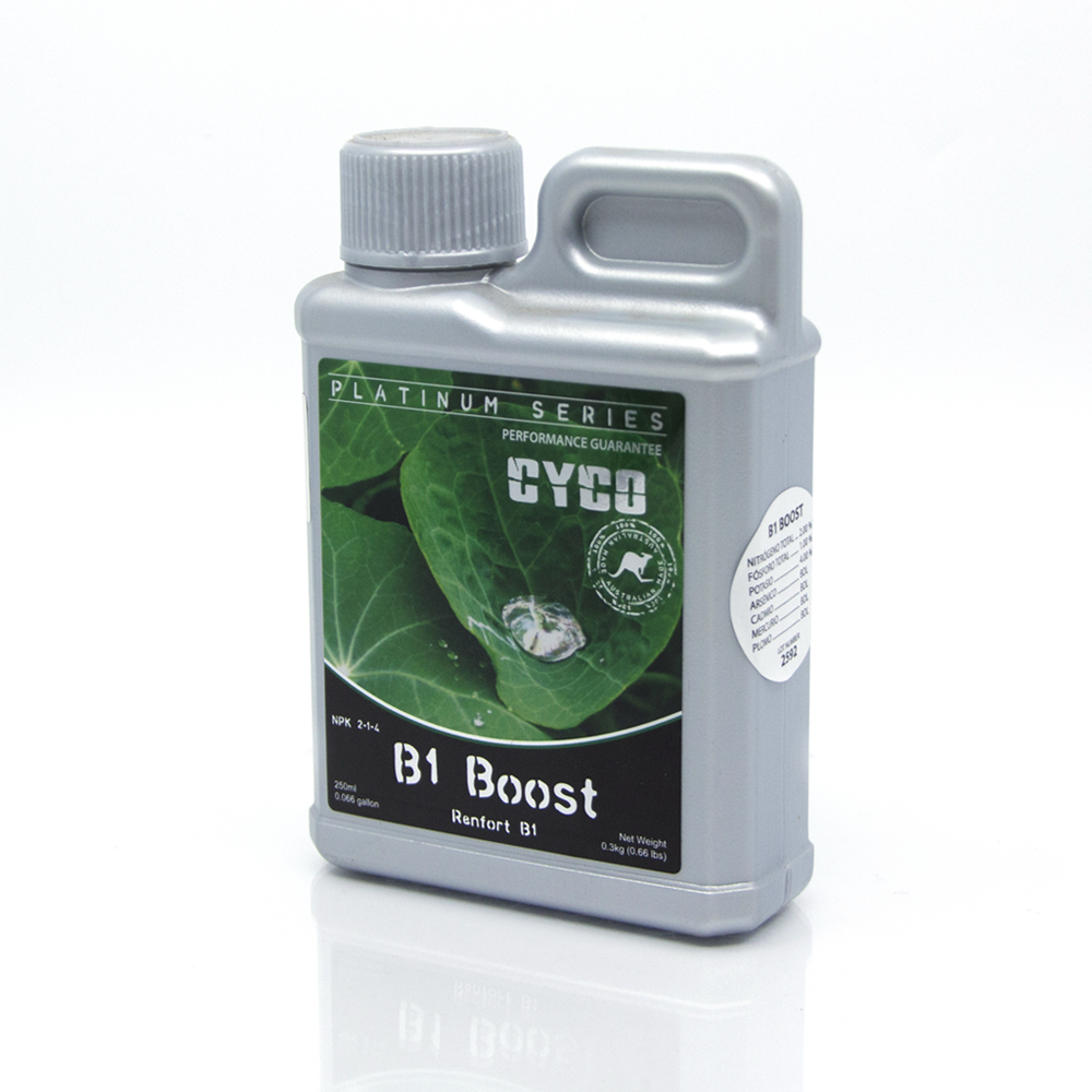 B1 Boost 250ml