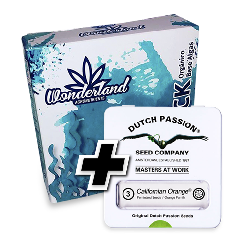 Tripack Organico + 3 semillas Dutch Passion