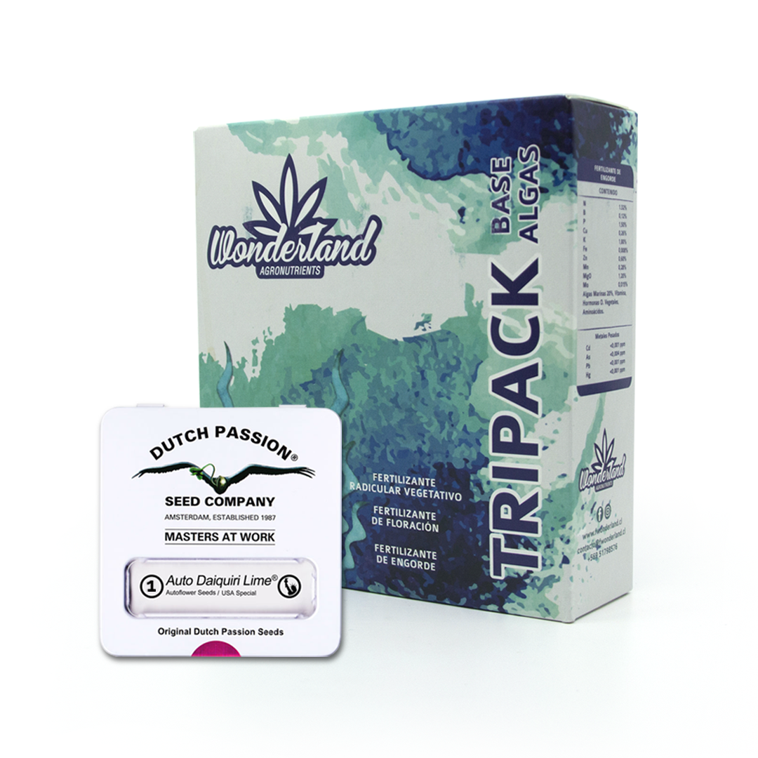 Tripack Wonderland Organico + Auto Daiquiri Lime x1 Semilla
