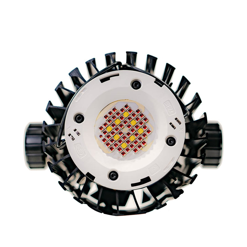 Led Blackcob RS150