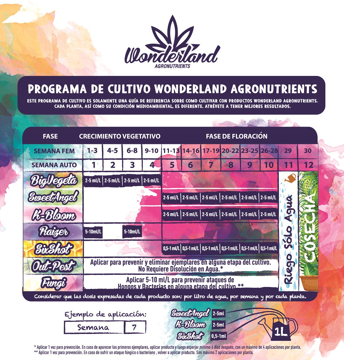 K-Bloom - Wonderland