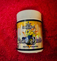 Giant buds PK 52-34