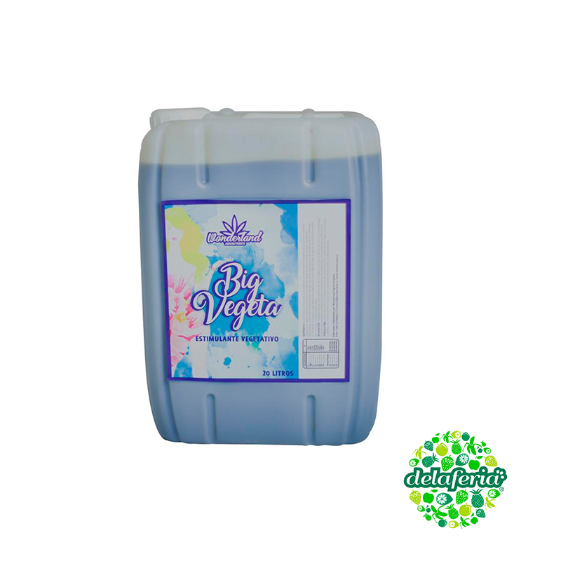 Big Vegeta - Wonderland