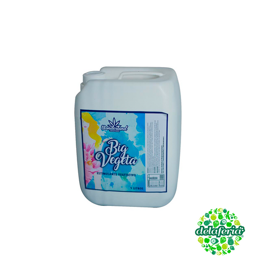 Big Vegeta - Wonderland