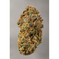 Mokum’s Tulip®