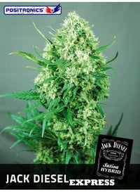 Jack Diesel Express