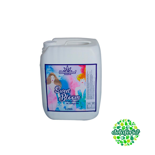 Sweet Bloom - Wonderland