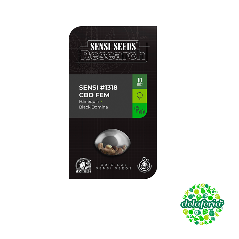 Sensi #1318 CBD Fem