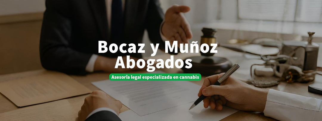 Muñoz Abogados: Asesoría legal especializada en cannabis y Ley 20.000