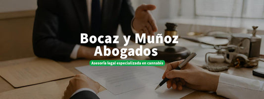 Muñoz Abogados: Asesoría legal especializada en cannabis y Ley 20.000