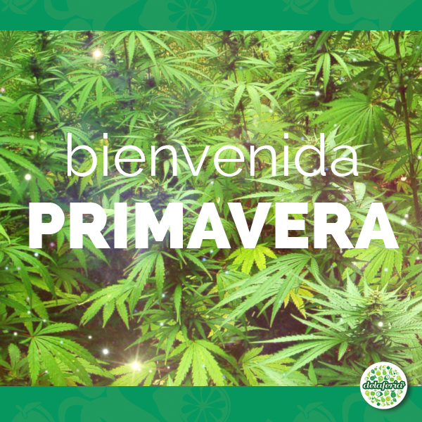 Con la llegada de la primavera se da inicio al cultivo de exterior