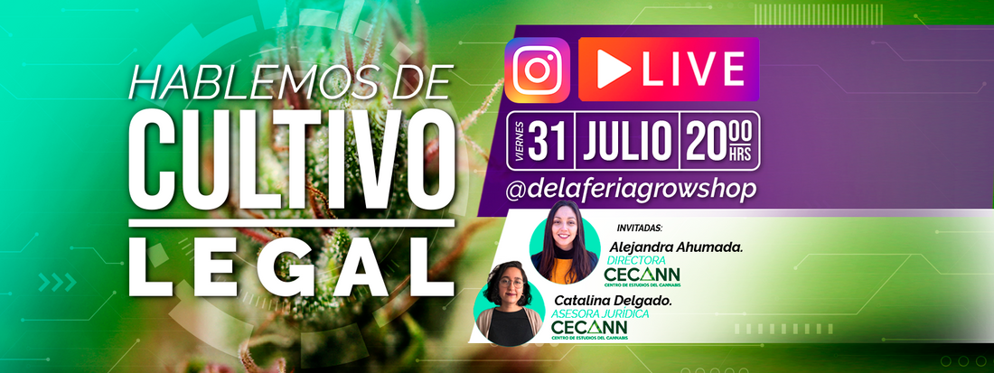 Este viernes vamos a exponer en IG Live sobre casos de incautación de cannabis con la perito que participó en cada investigación y como fue su defensa