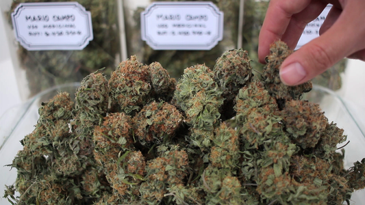 Resultados y Curado, Capitulo 12