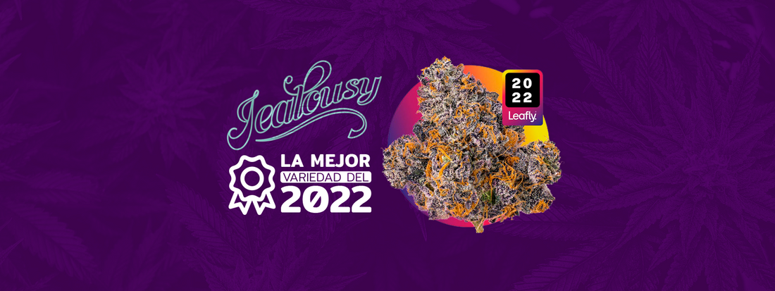 Jealousy: La mejor variedad del 2022 según Leafly