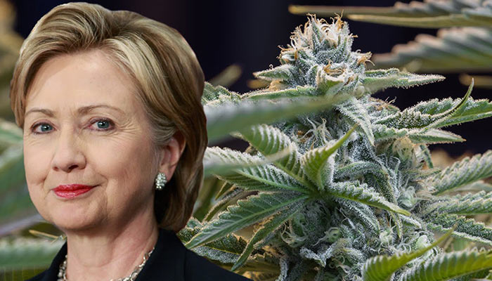 Hillary Clinton: Rotunda disposición a negociar la legalidad de la marihuana si es elegida presidenta
