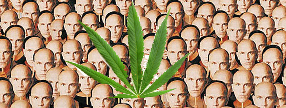 John Malkovich y el cannabis “Cada hombre es árbitro de sus propias virtudes”