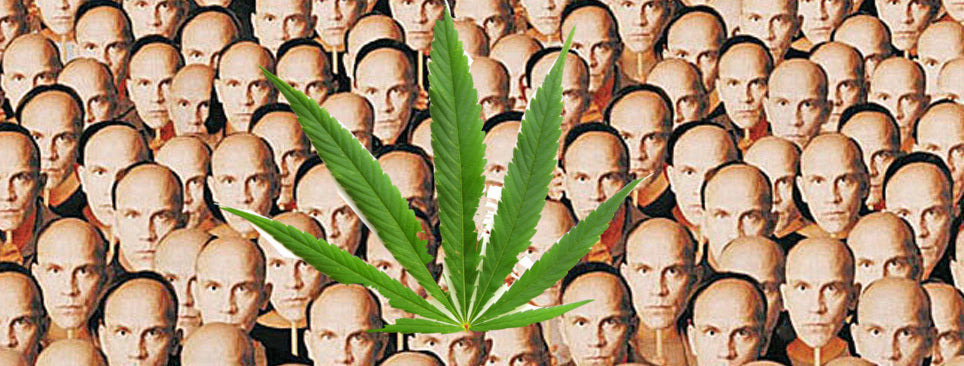 John Malkovich y el cannabis “Cada hombre es árbitro de sus propias virtudes”