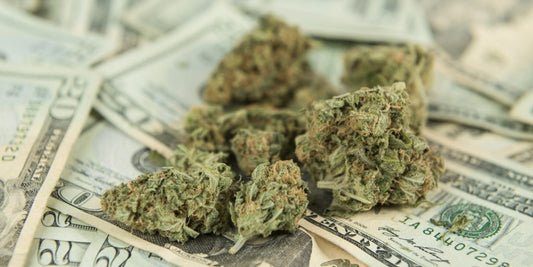 precio de 1 kilo de mota en chile