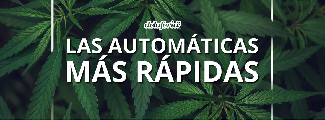 Las automática más rápidas