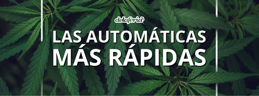 Las automática más rápidas