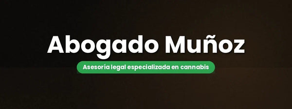 Mlegal Muñoz Abogados: Asesoría legal especializada en cannabis y Ley 20.000