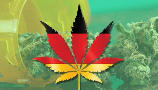 Alemania, ¡Cannabis medicinal aprobada!