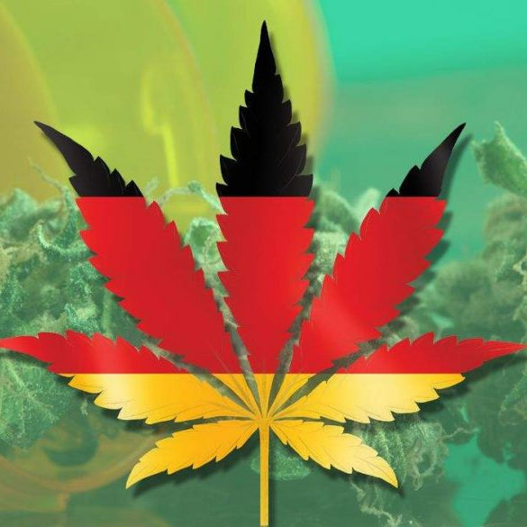 Alemania, ¡Cannabis medicinal aprobada!