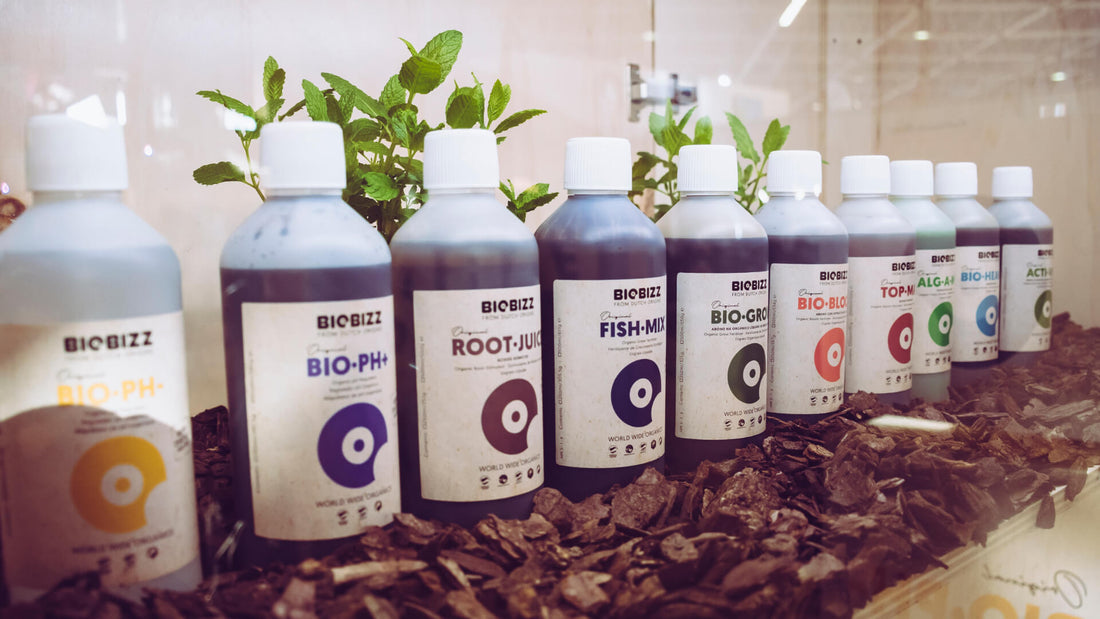 Biobizz. Cosechas abundantes, orgánicas y deliciosas