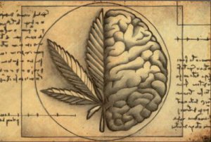 Las artes y el cannabis
