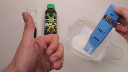 ¿Cómo regar tus plantas de Marihuana? Capitulo 3